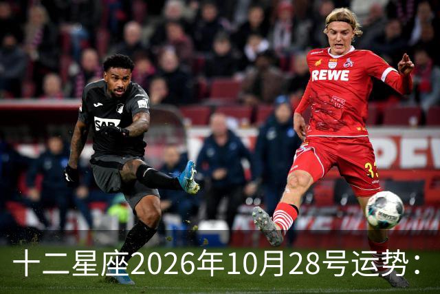 十二星座2026年10月28号运势：生活节奏变得欢快
